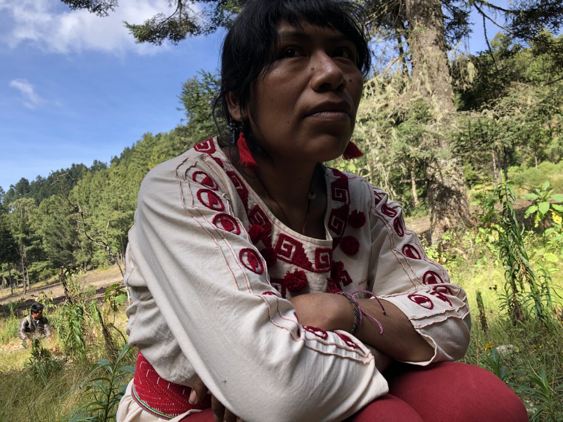 ¿Dónde está Irma Galindo?, la ambientalista oaxaqueña que pidió protección del Mecanismo y desapareció￼
