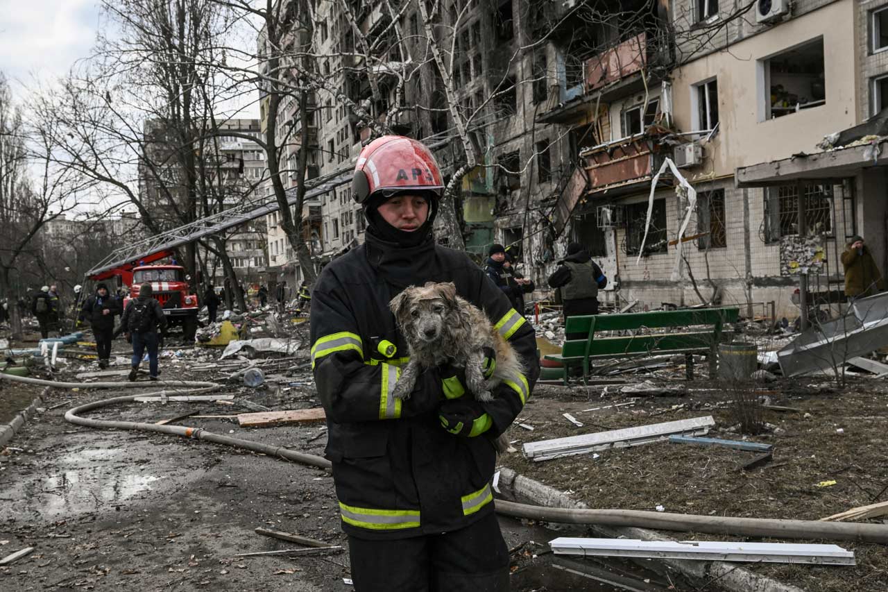 En imágenes: Las mascotas afectadas por la guerra en Ucrania