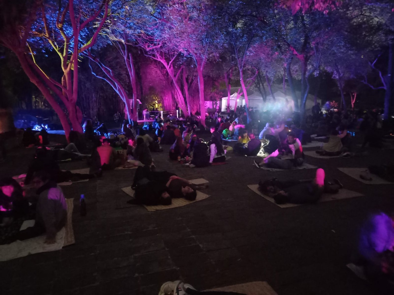 De picnic nocturno en Chapultepec