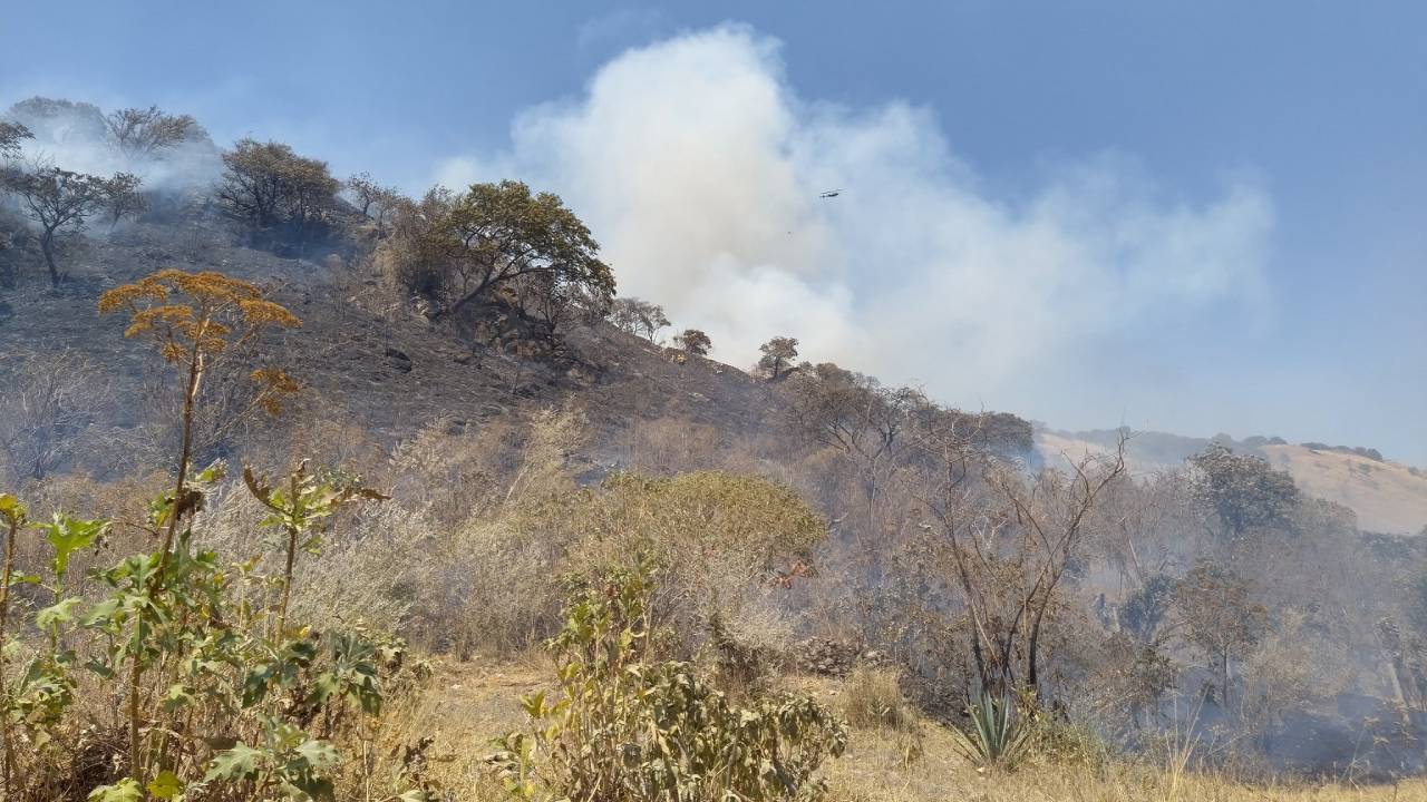 Incendio consume el paraje El Colli del Bosque la Primavera de Zapopan, Jalisco