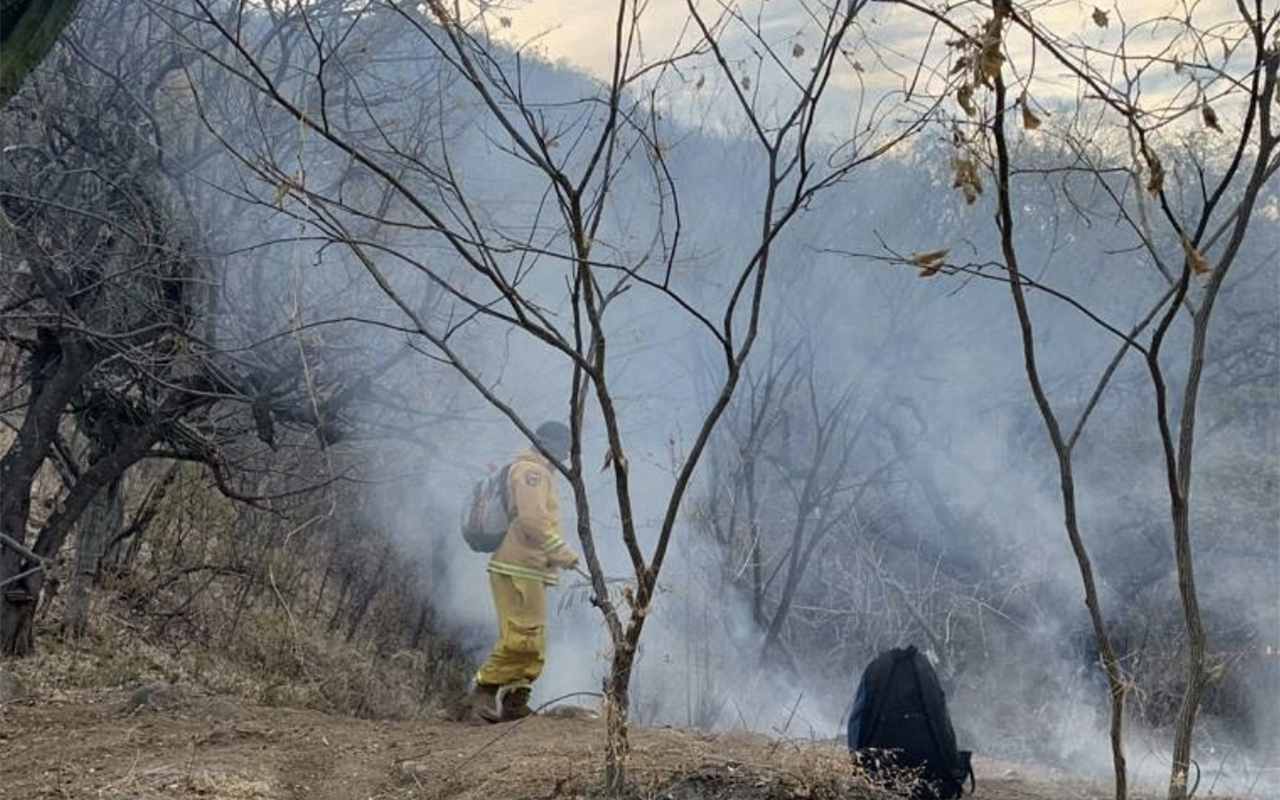 Van más de 2 mil hectáreas dañadas por el incendio en la sierra de Álamos, en Sonora