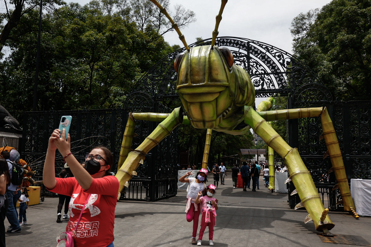 Galería: Insectos gigantes invaden Chapultepec con el Insecta Festival del Bosque 2022