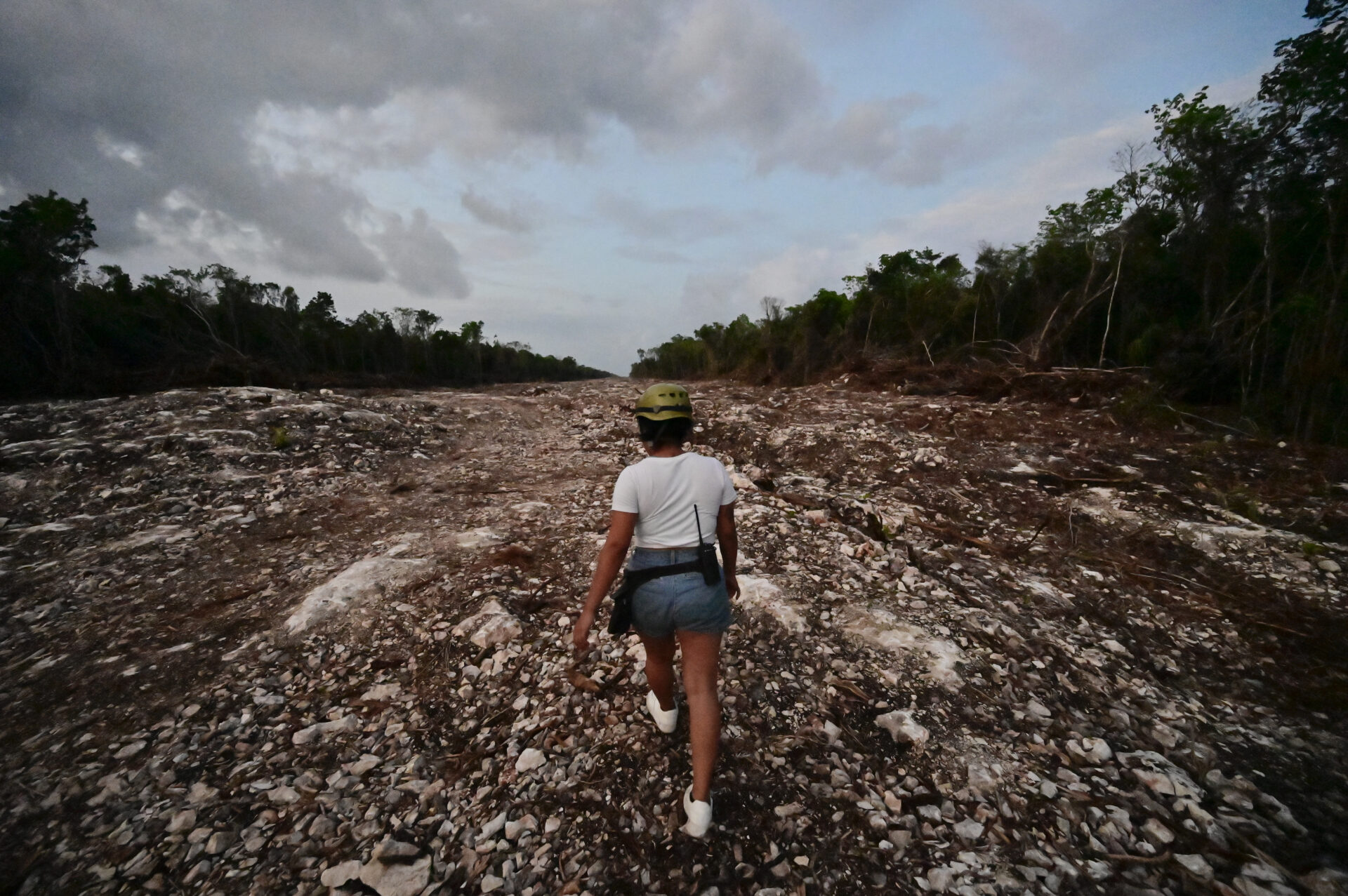 Ambientalistas alertan por destrucción de tesoro natural debido a Tren Maya