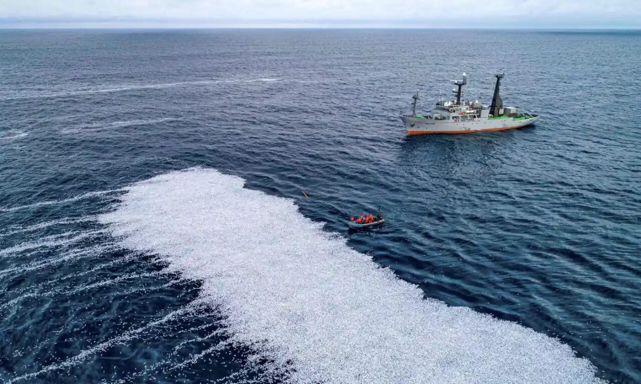 Millones de toneladas de animales muertos: el creciente escándalo de los residuos pesqueros