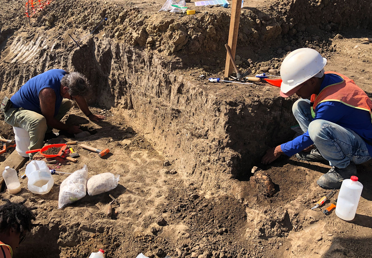 Arqueólogos descubren entierro prehispánico en Mazatlán