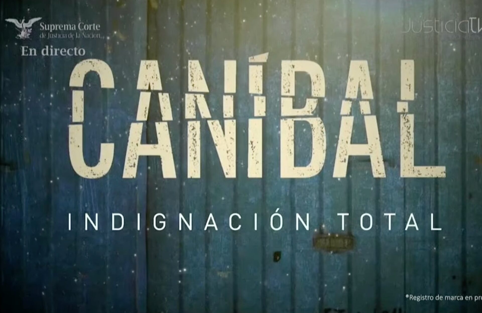 <i>Caníbal, indignación total</i>, la serie sobre feminicidios financiada por la Corte