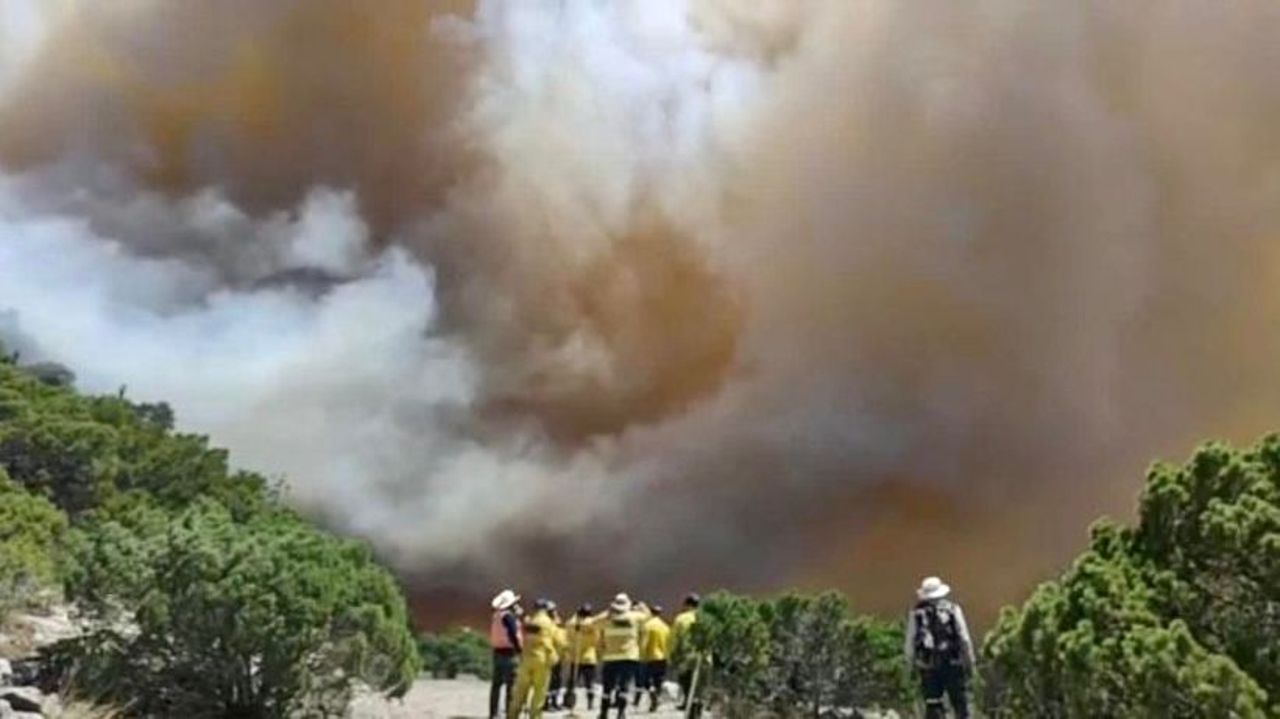 Incendio forestal en Mazapil, Zacatecas, afecta más de 500 hectáreas