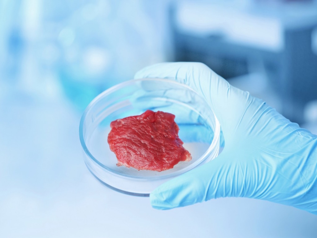 Científicos proponen consumir carne artificial para luchar contra el calentamiento