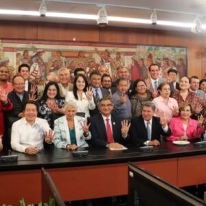 No permitiremos que gobernadores metan mano en elecciones: Sánchez Cordero