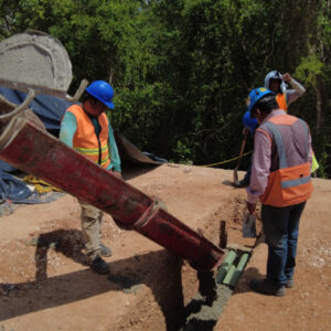 Semarnat recibe la Manifestación de Impacto Ambiental del Tramo 5 del Tren Maya