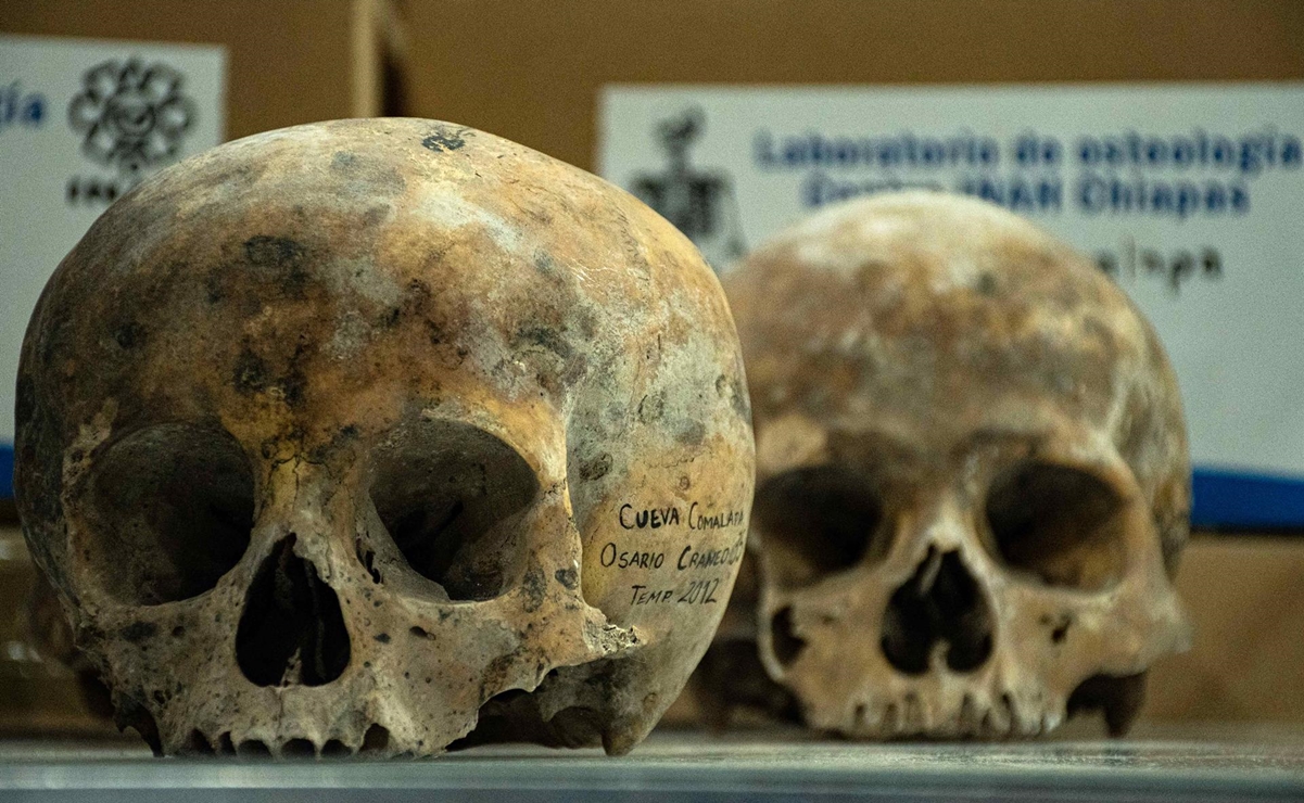 De presunta narcofosa a altar a la muerte: descubren 150 cráneos prehispánicos