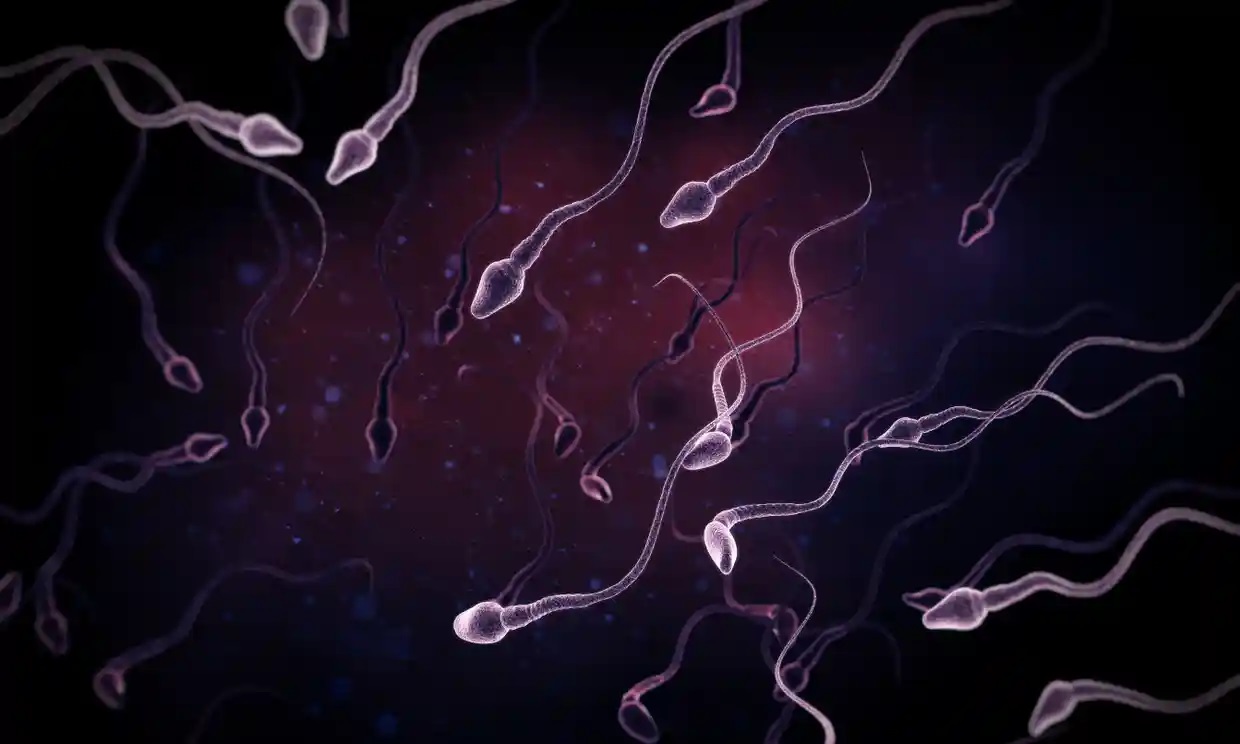Contaminantes químicos tienen relación con la disminución de la calidad del esperma