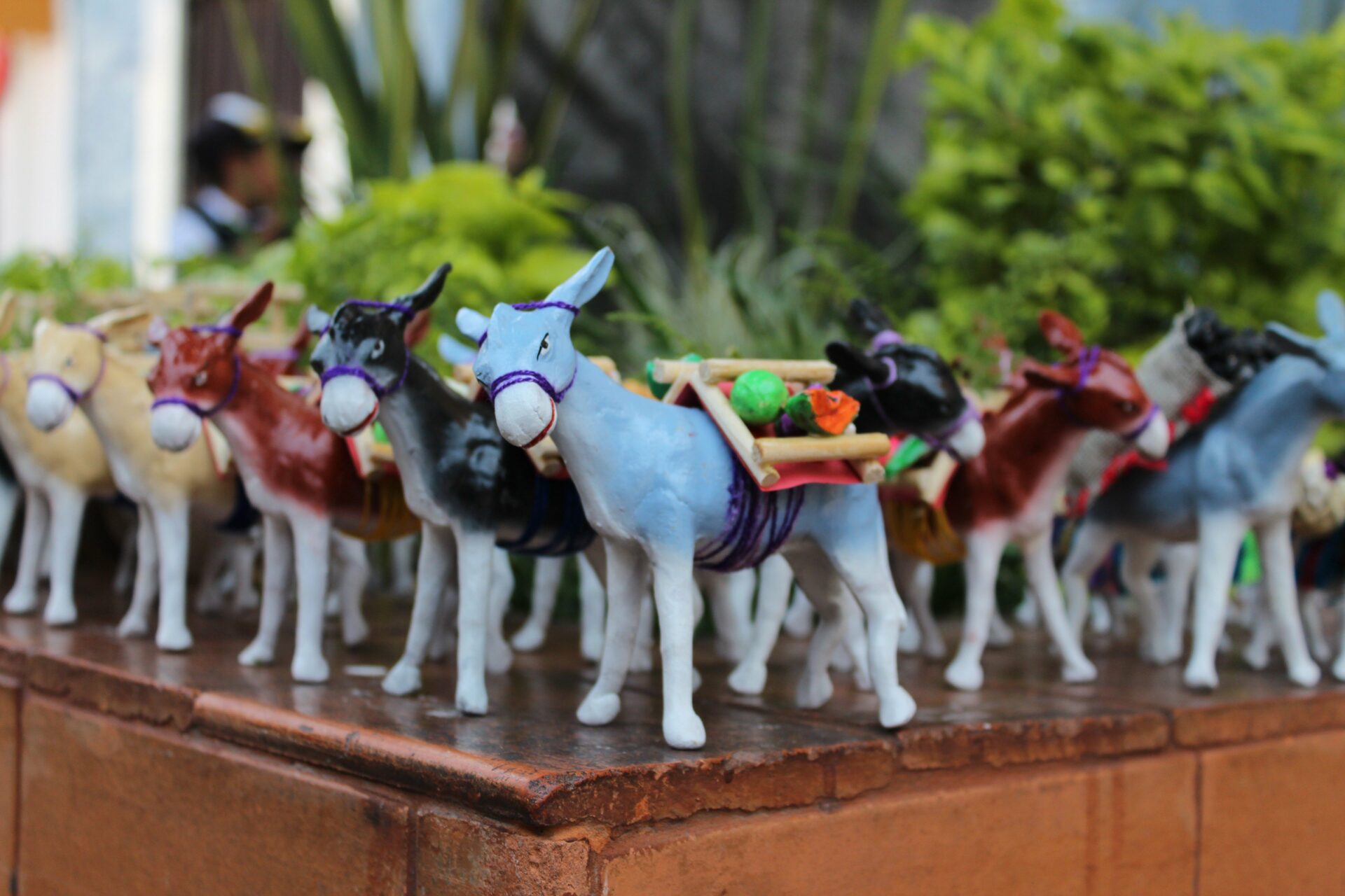 Día de las mulas: ¿qué es y por qué se festeja?