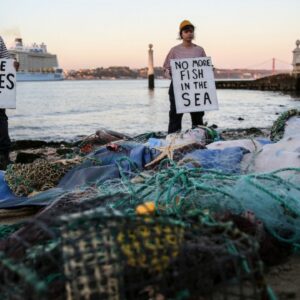 La ONU alerta que el mundo enfrenta una ‘emergencia’ en los océanos