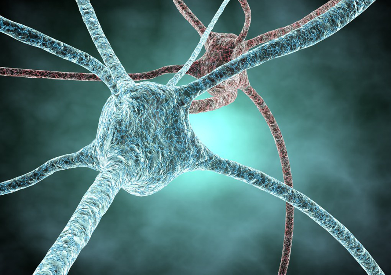 Científicos detectan red cerebral vinculada a las adicciones