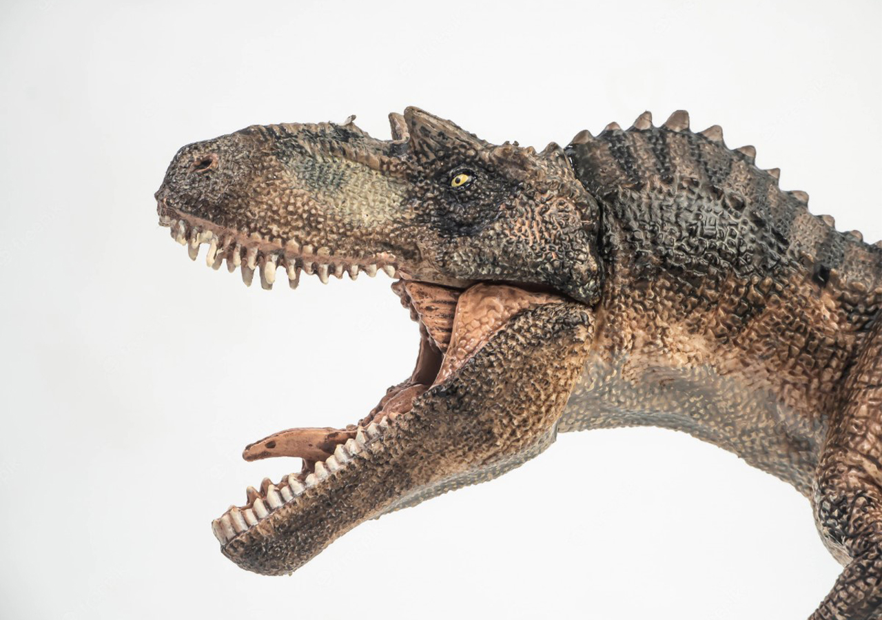 Un raro esqueleto de Gorgosaurus será subastado en Nueva York