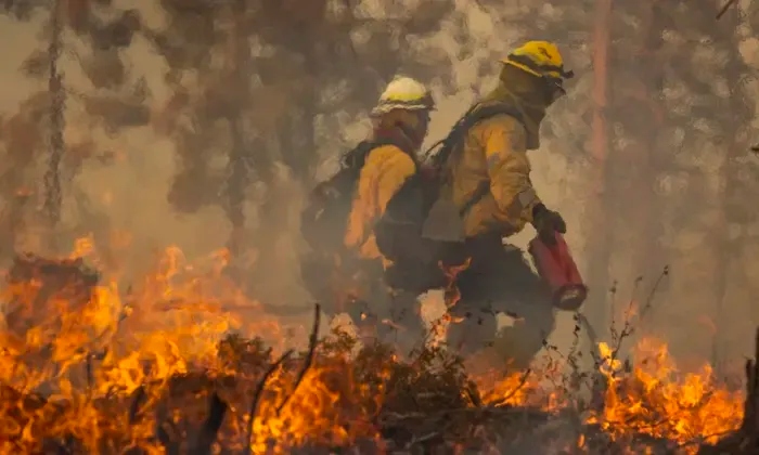Bomberos de California avanzan contra incendio de Oak, cerca de Yosemite