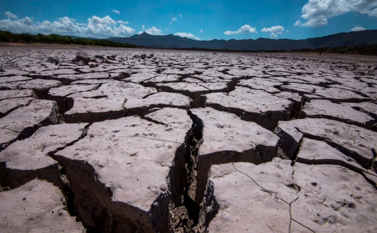 Por ‘sequía severa’, Semarnat publica declaratoria de inicio de emergencia en México