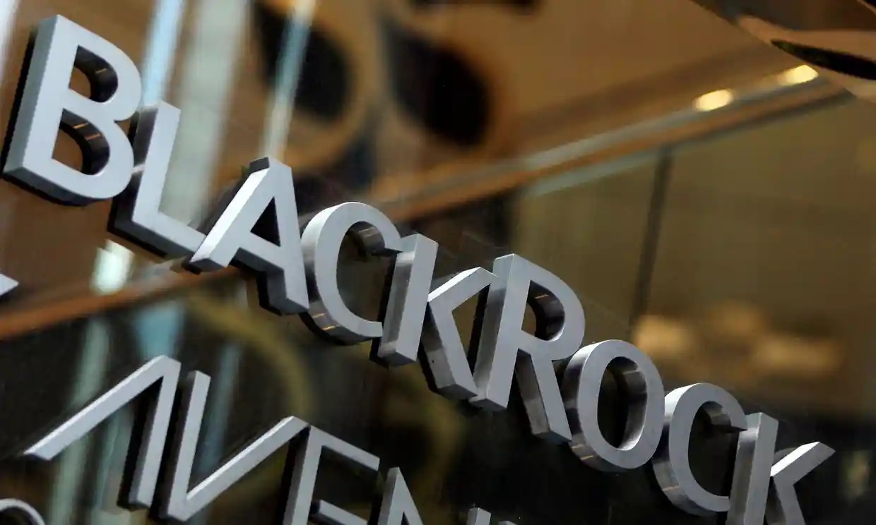 Activistas piden a ONU Mujeres que se retire de la asociación con BlackRock