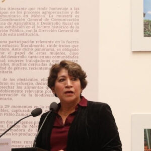 PRI denuncia a Morena por actos anticipados de campaña con espectaculares de Delfina Gómez