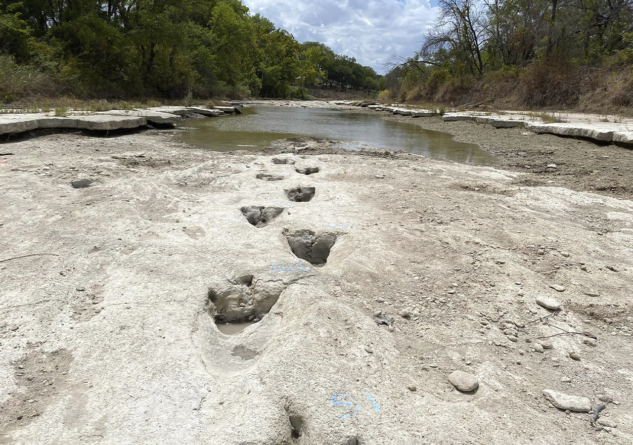 Sequía revela huellas de dinosaurios en Texas