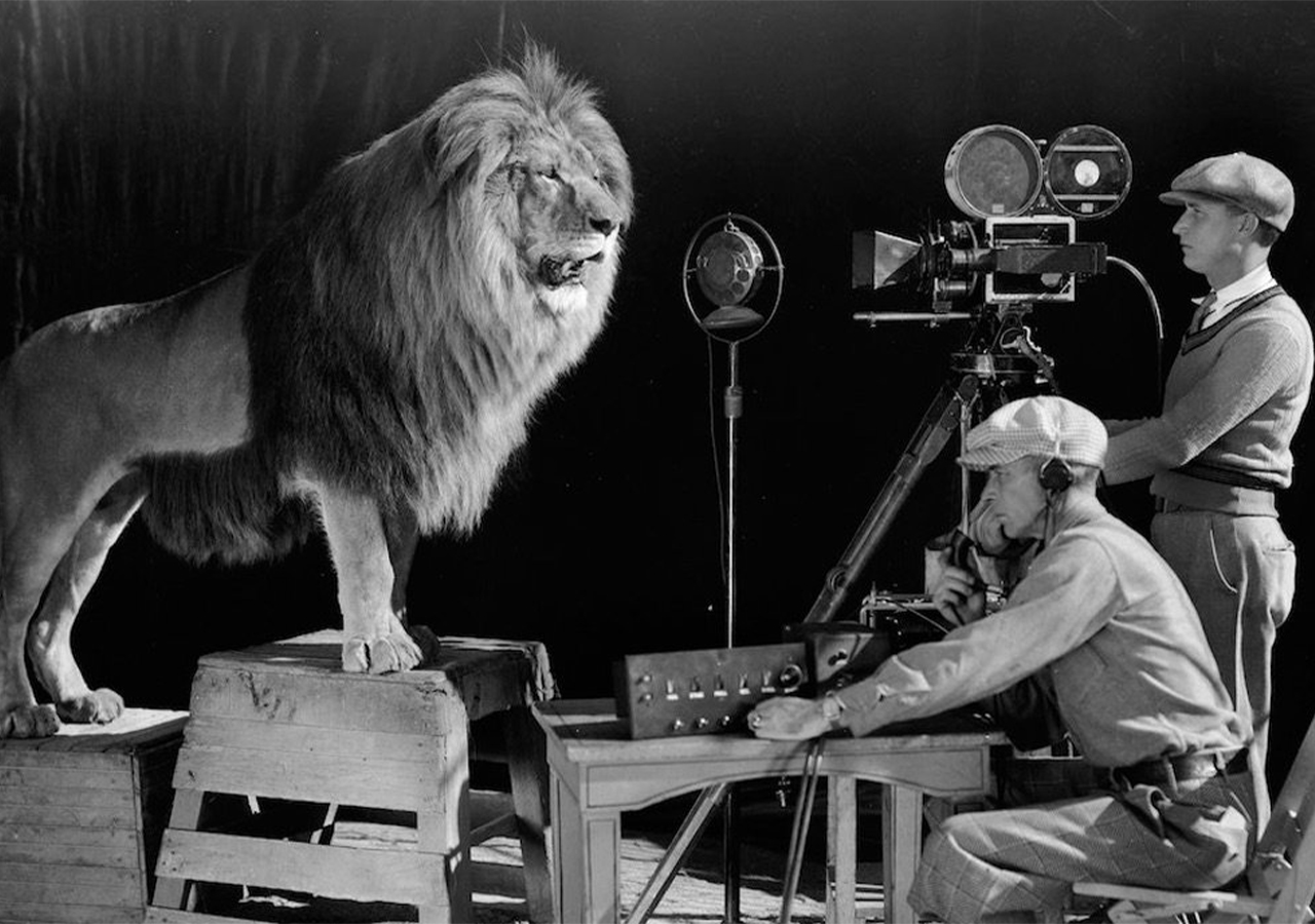 Día internacional del león: la historia del felino más famoso del cine