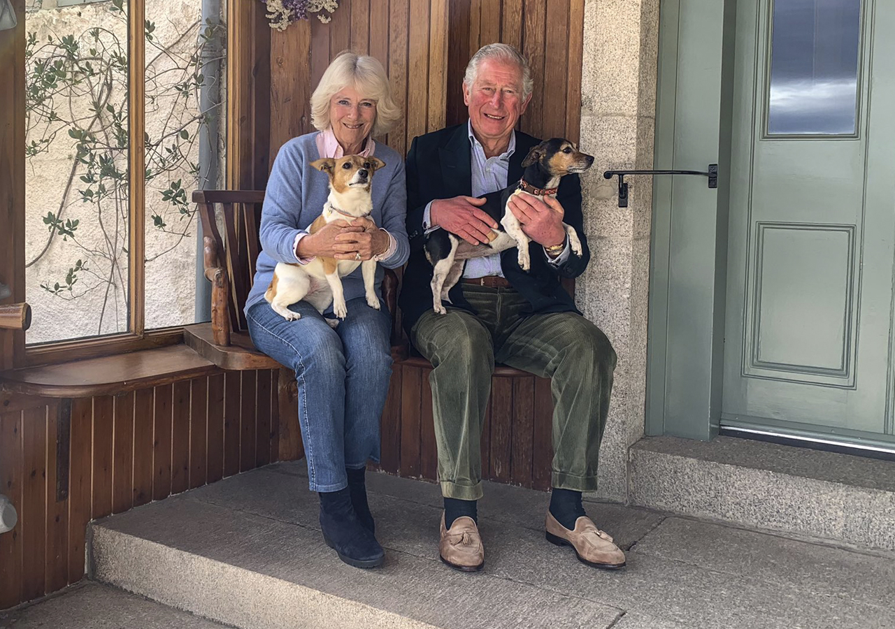 El príncipe Carlos felicita a los perros en su día