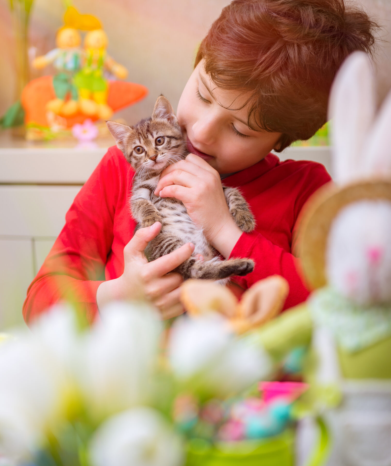 Día Internacional del Gato: Beneficios de tener un Michi