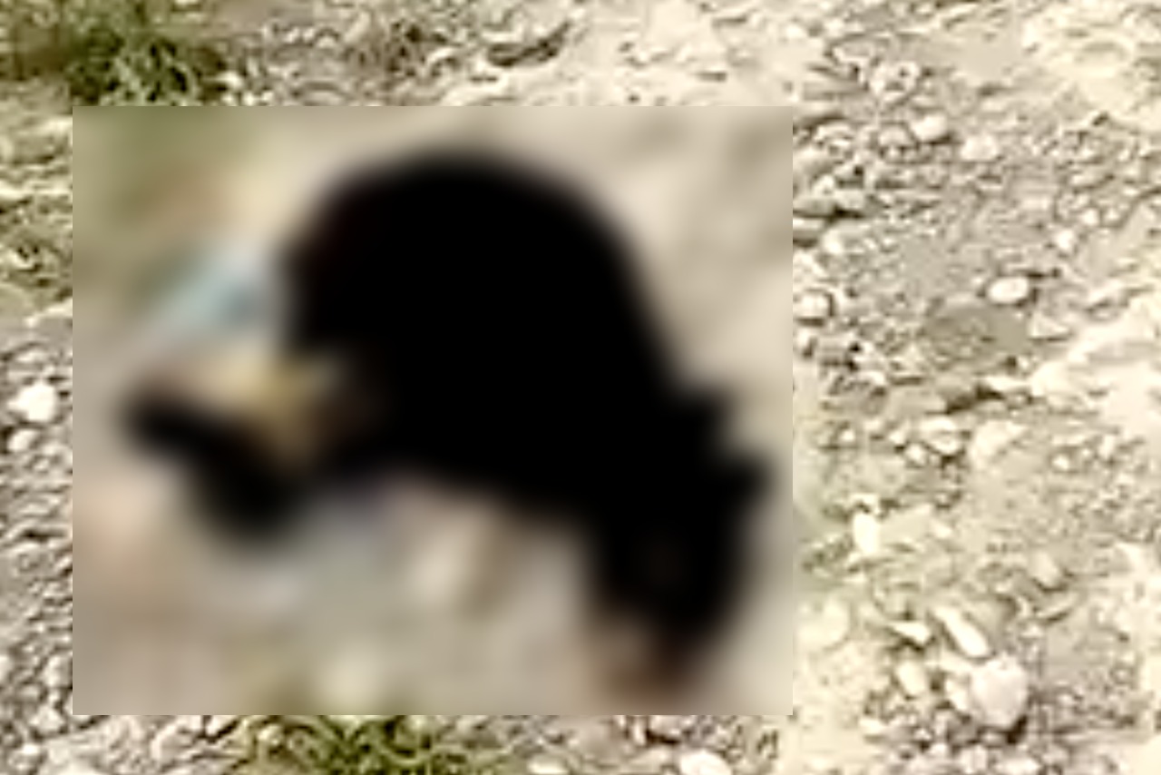 Profepa presenta denuncia por el asesinato de un oso negro en Coahuila