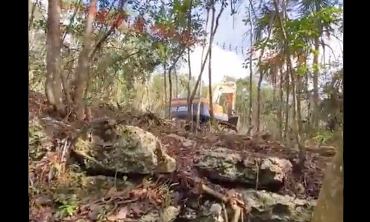 ‘¿Cómo va a pasar el Tren Maya por aquí?’: activista se mete a cenote durante trabajos
