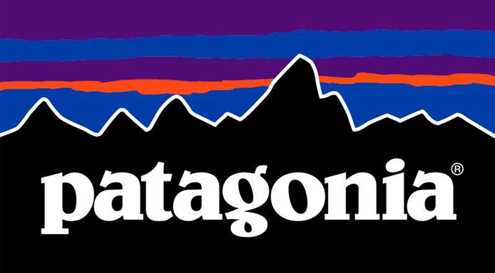 Patagonia: La congruencia es lo que da valor a la empresa