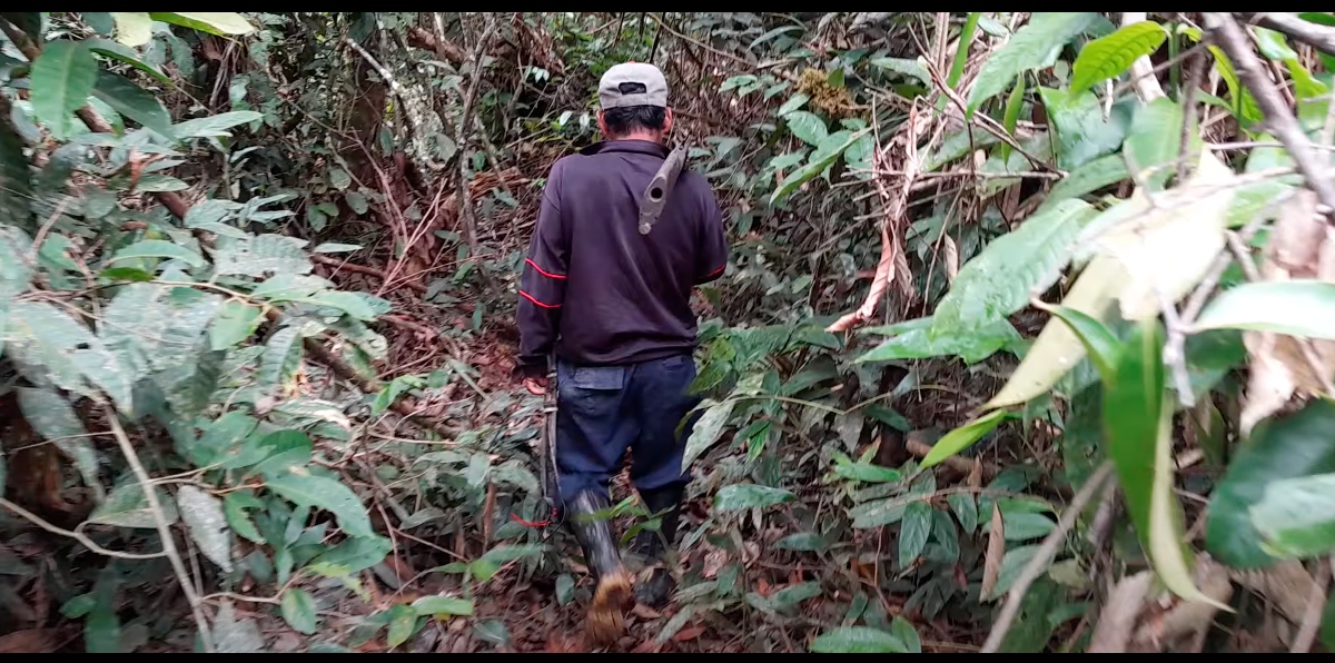 Narcotraficantes, exFARC y mineros ilegales amenazan a comunidades del río Putumayo