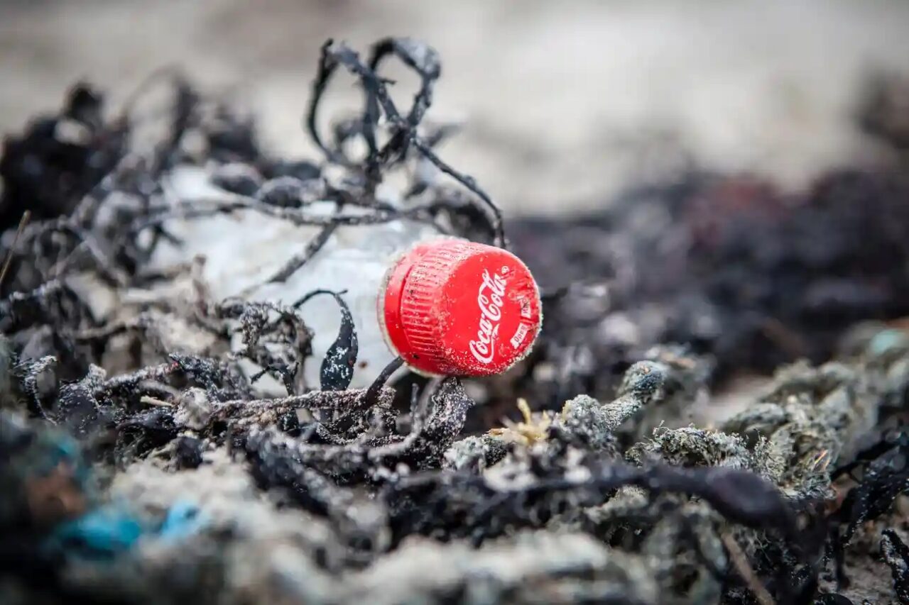 El patrocinio de Coca-Cola en la cumbre climática COP27 es visto como un ‘greenwash’