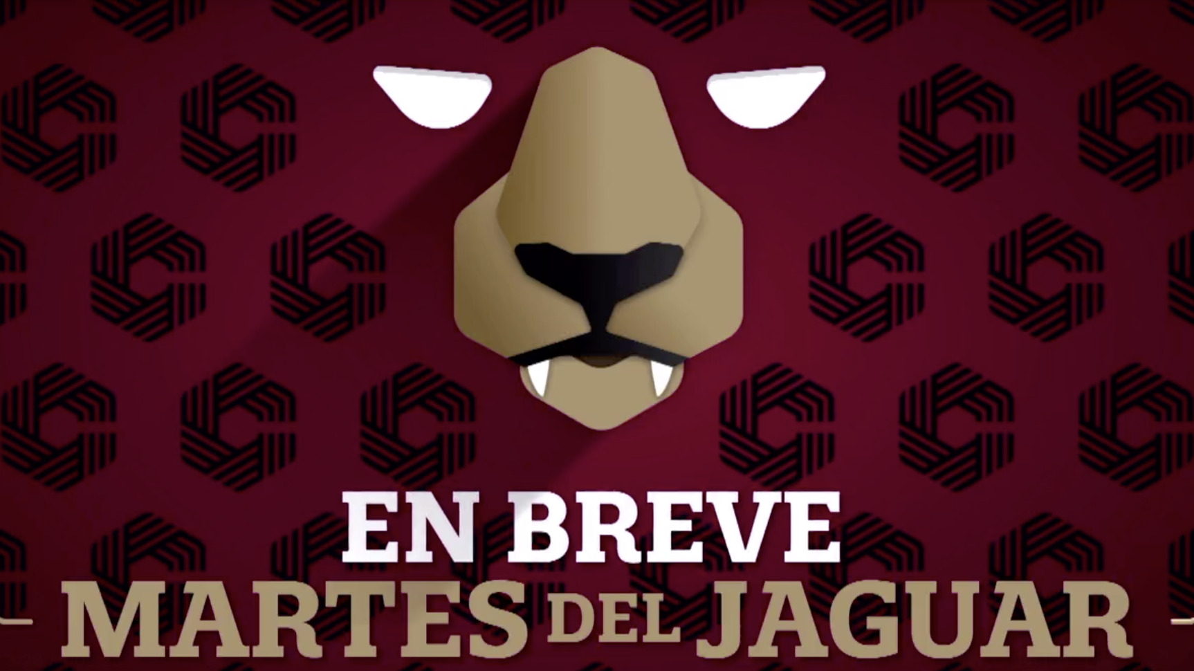 Reforma electoral y Martes del jaguar