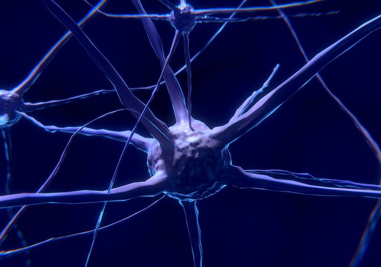 Neuronas de laboratorio aprenden a jugar videojuego