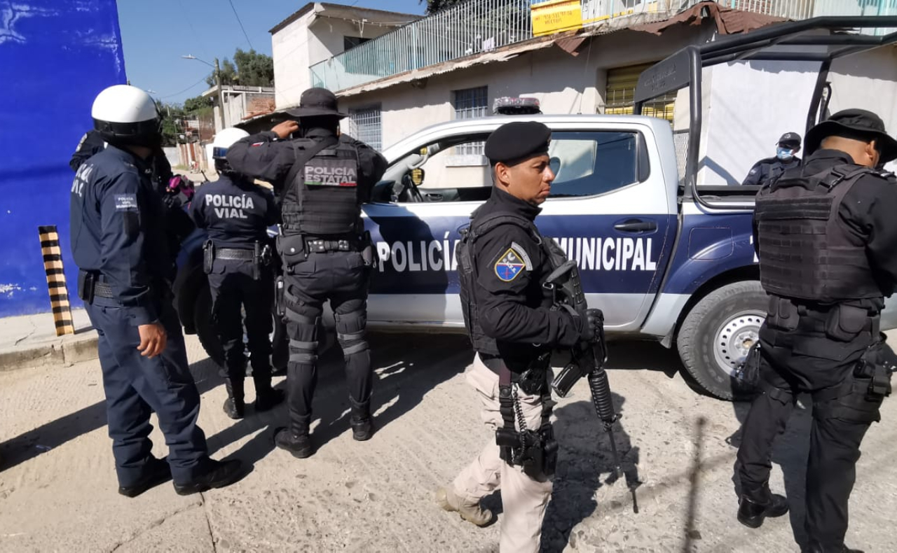 Ahora en Oaxaca: perro con brazo humano caminaba por calles de San Martín Mexicapan