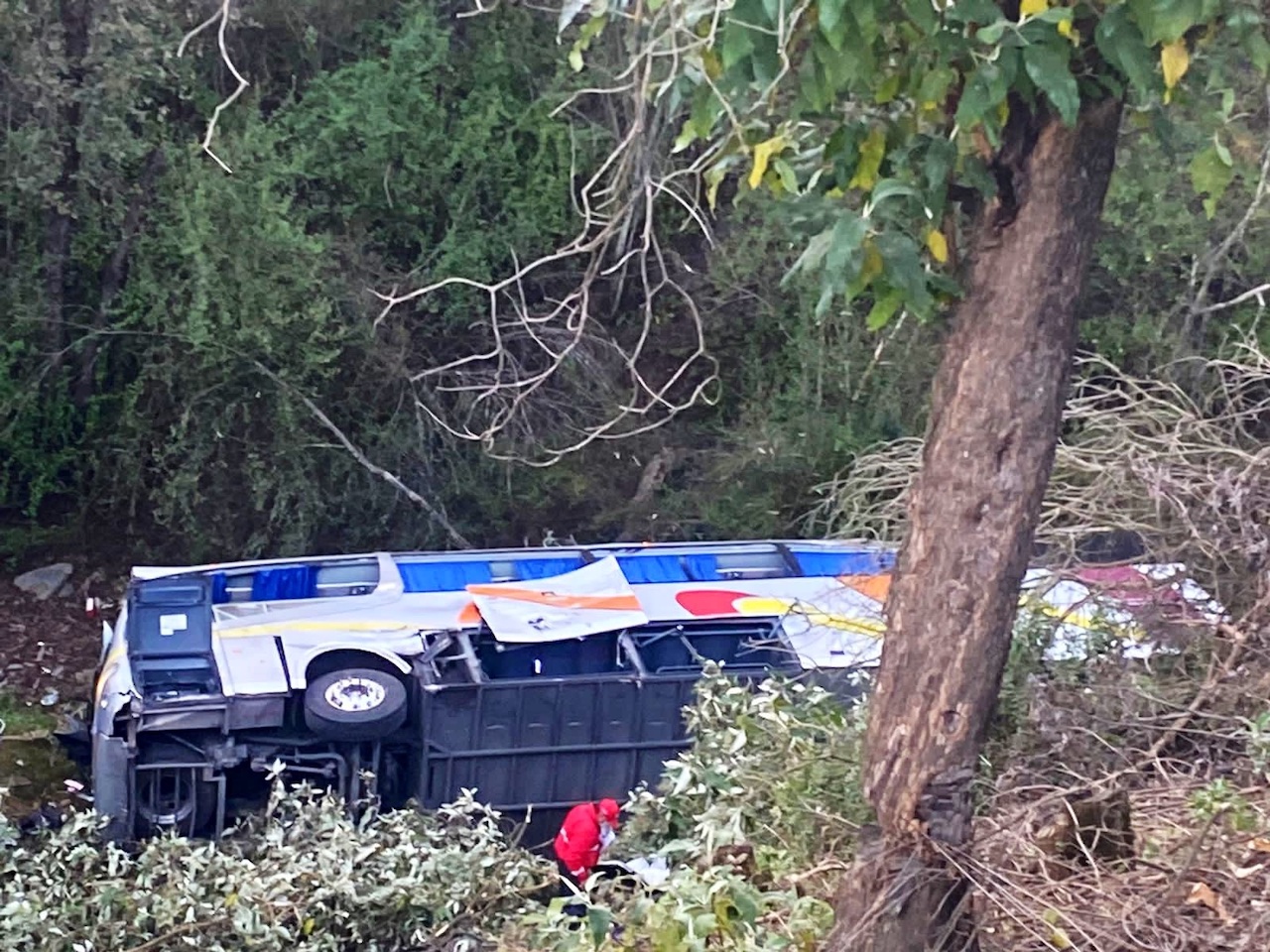 Accidente en la México-Puebla: Autobús cae a barranco en Llano Grande