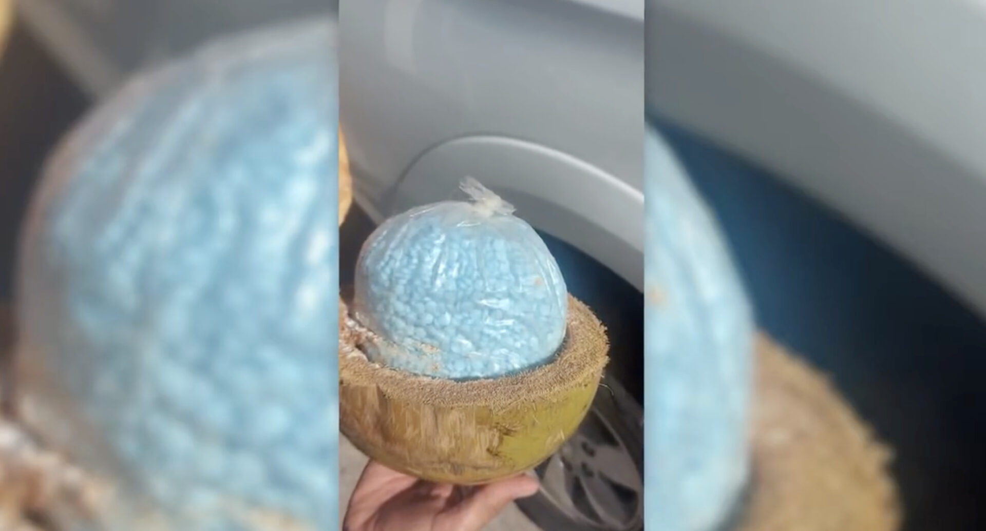 Autoridades aseguran 300 kilos de fentanilo escondidos dentro de cocos en Sonora