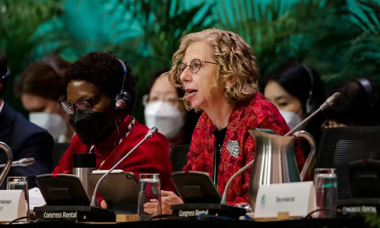 ‘Aceptar la historia’: la jefa de Medio Ambiente de la ONU pide que se actúe de inmediato en el acuerdo de la COP15
