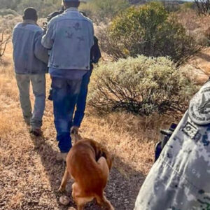 Así fue cómo un perrito ayudó a localizar a su dueño en Sonora