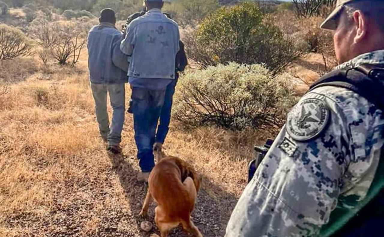 Así fue cómo un perrito ayudó a localizar a su dueño en Sonora