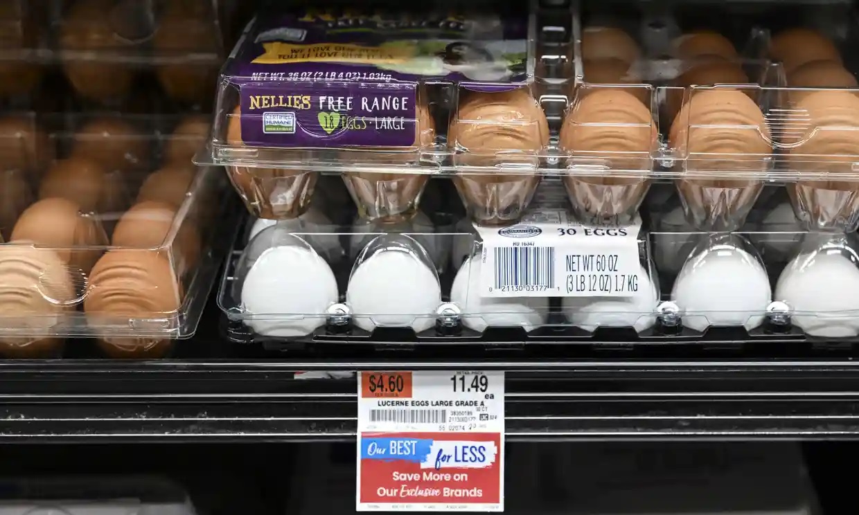 330 pesos la docena: ¿cómo han llegado a ser absurdamente caros los huevos estadounidenses?