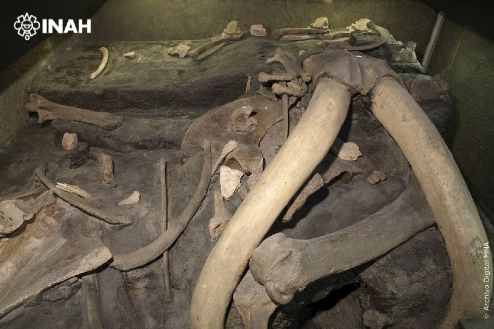Arqueólogos descubren restos de un campamento de cazadores de mamuts en Edomex