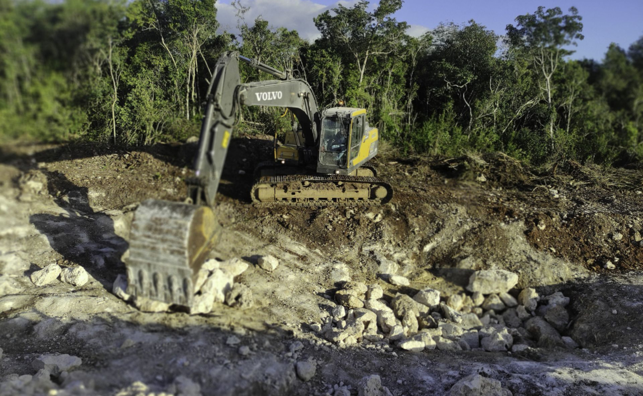 Un juez otorga una suspensión provisional contra tala y obras del Tramo 5 del Tren Maya