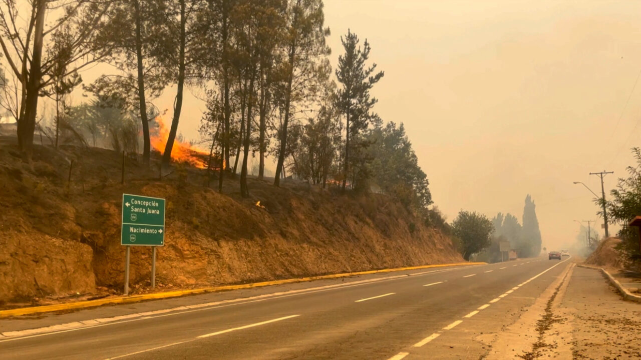 Incendios en Chile dejan 15 muertos y 45,000 hectáreas destruidas