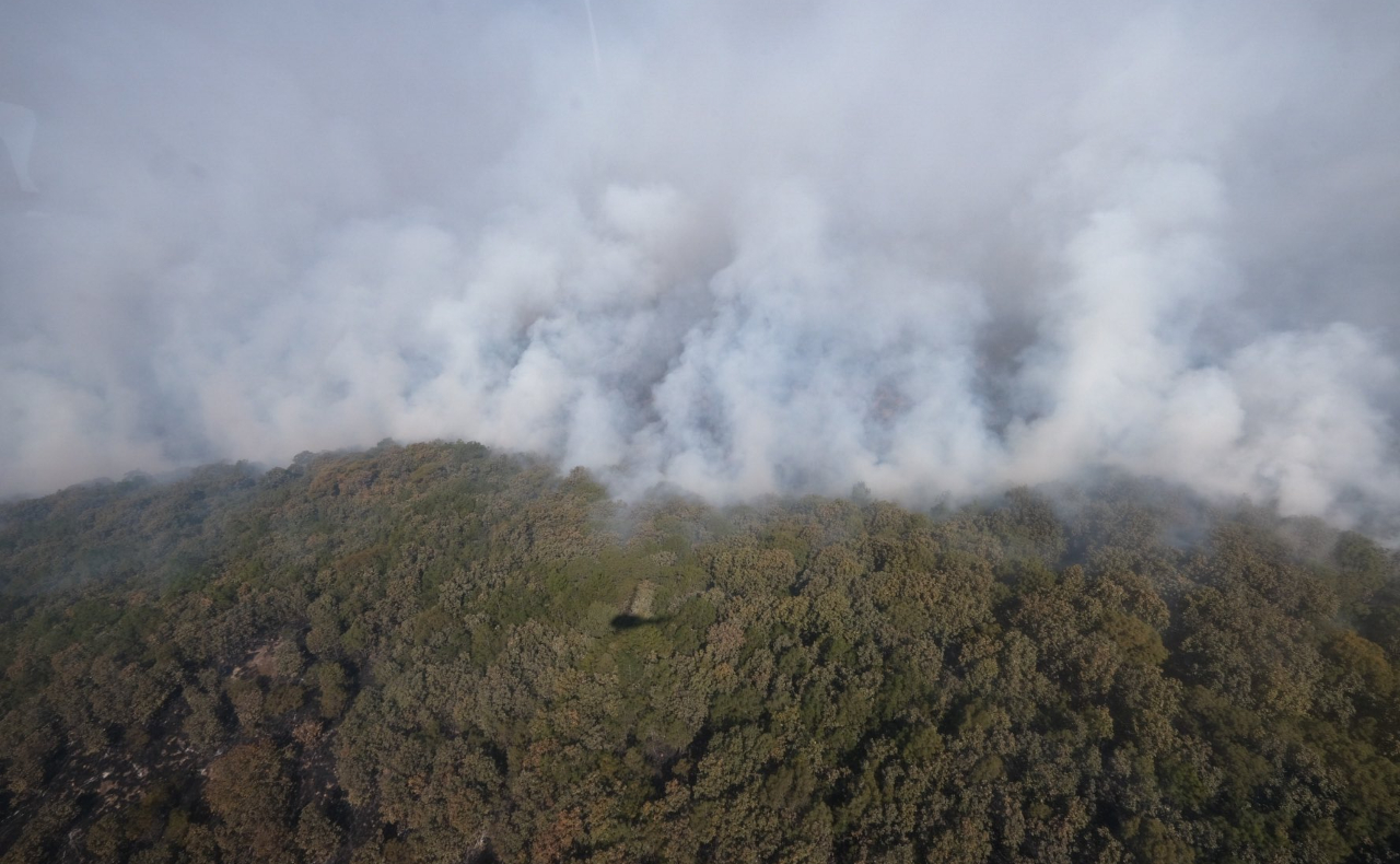Bosque de la Primavera: Bomberos siguen con extinción del incendio en Zapopan