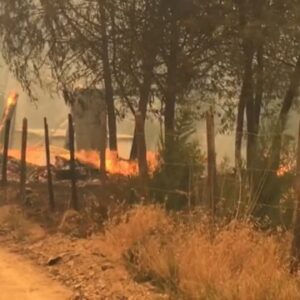 Chile pide apoyo a México para combatir incendios forestales