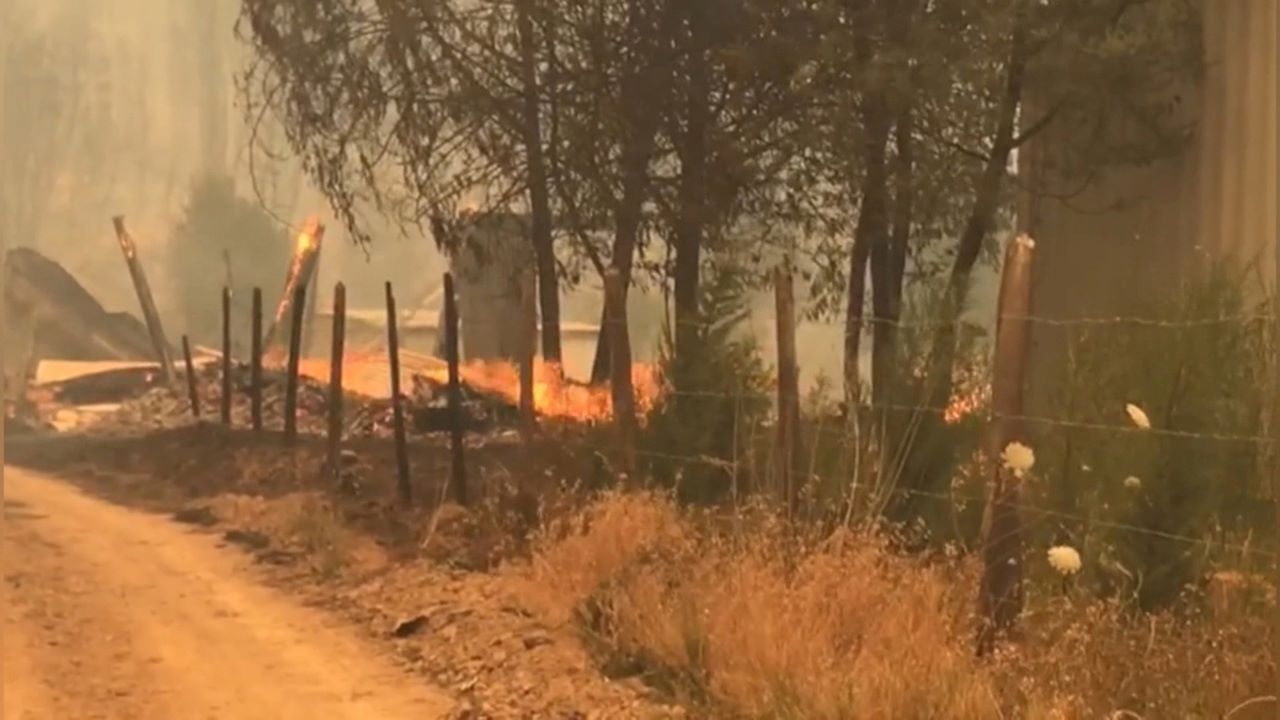 Chile pide apoyo a México para combatir incendios forestales