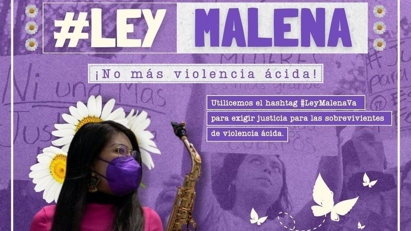 ‘Ley Malena’: lanzan petición para tipificar los ataques con ácido