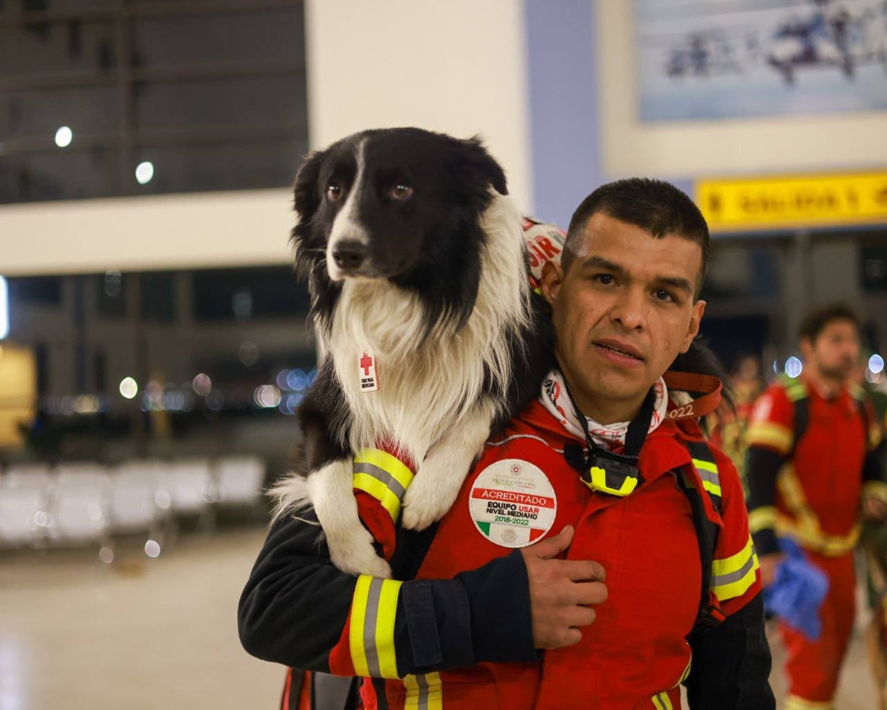 Lomitos al rescate: perros mexicanos ayudarán a Turquía tras el terremoto